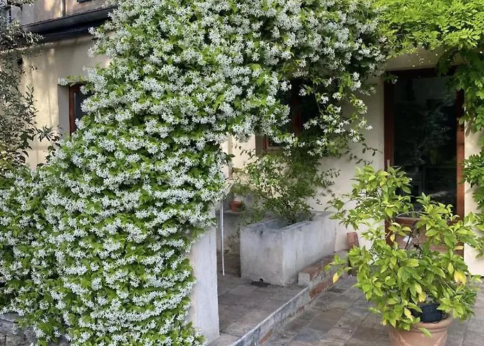 Exceptionnel, Maison De Vacances Dans Parc, Climatisation, Parking, Calme Assure